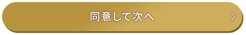 同意して次へ